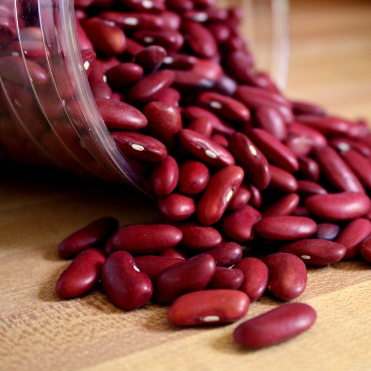 Đậu đỏ tây Dark Red Kidney Beans
