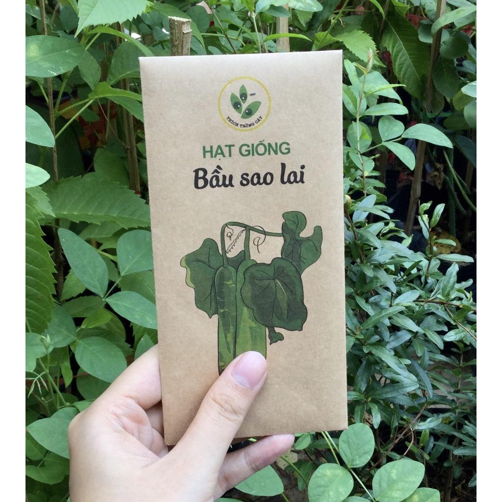 Hạt giống Bầu Sao lai sai trái dễ trồng