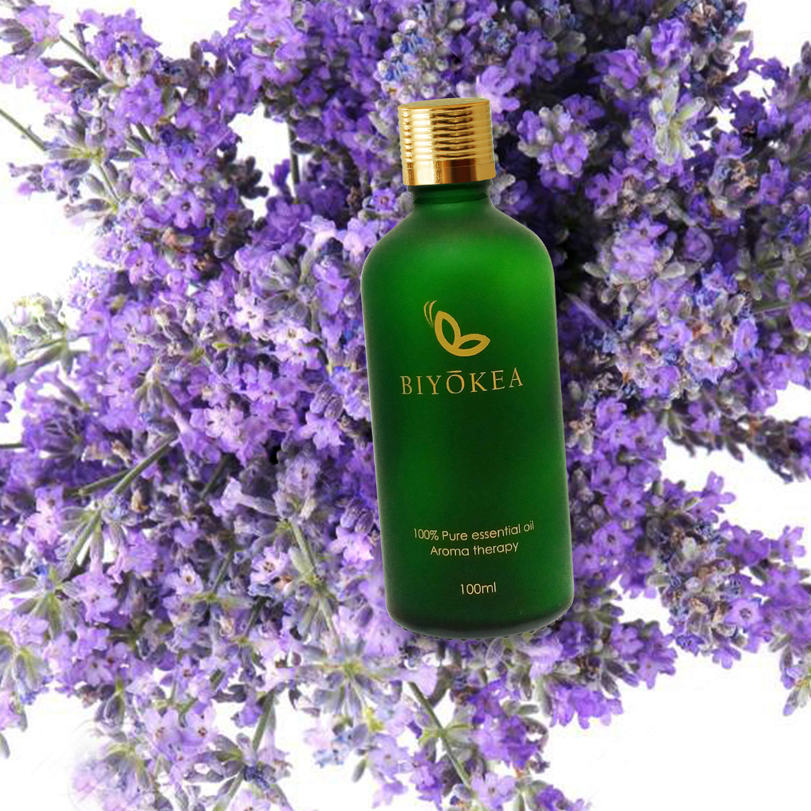 Tinh dầu Oải Hương (tinh dầu Lavender) xông hương thư giãn, dễ ngủ 100ml BIYOKEA