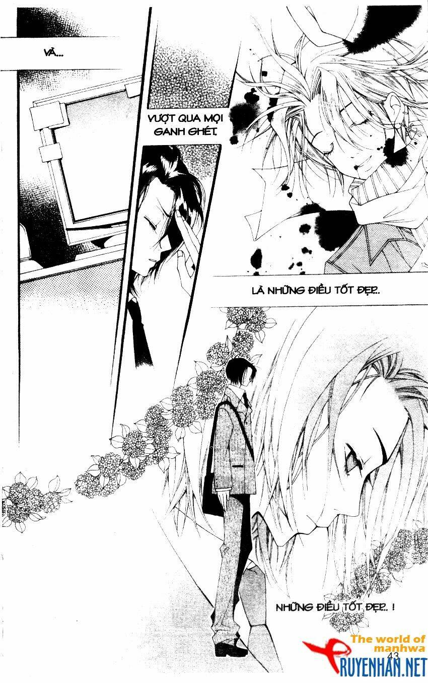 ngọc trong đá-ace chapter 21 5