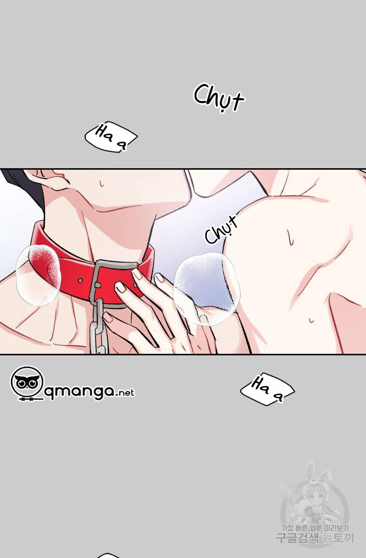 cậu có cà rốt chứ? chapter 0 3