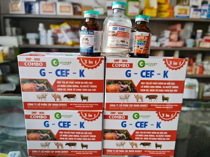 1 cặp Cef đăc tri viêm da nổi cục, lở mồm long móng cho gia súc