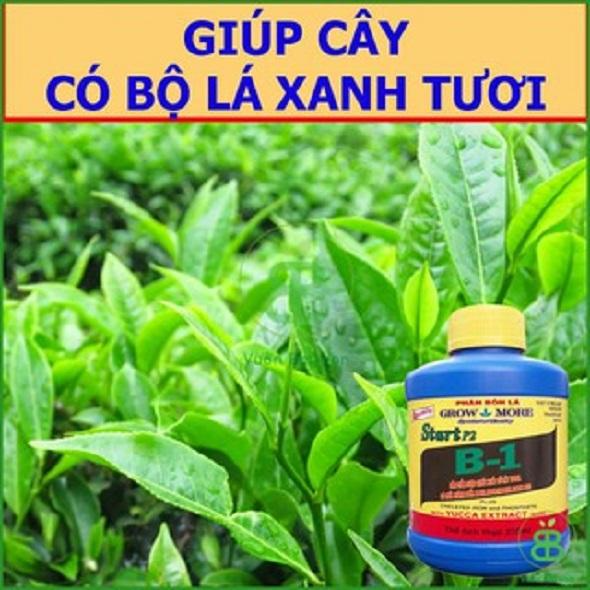 Phân bón lá cao cấp vitamin B1 Start của Growmore chai 235ml - tăng đề kháng, phát triển rễ thân cành lá