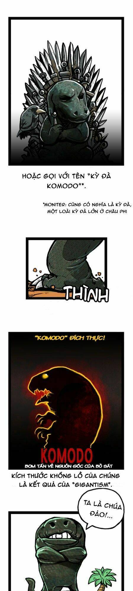 earth, human, and animal chapter 26 9