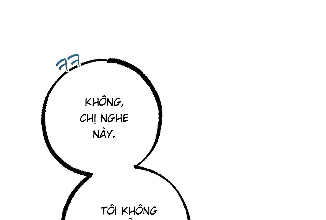 những chú thỏ của hapypy chapter 58 56