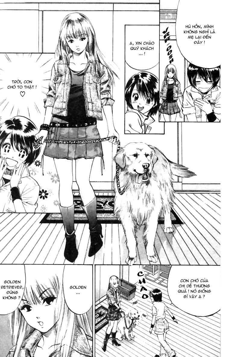 cô nàng yêu chó chapter 5 8