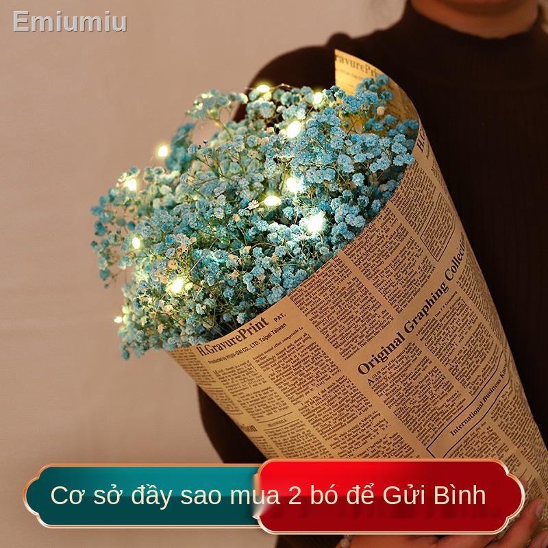 ✠Hoa gypsophila tự nhiên với đèn và hoa khô trang trí phòng khách
