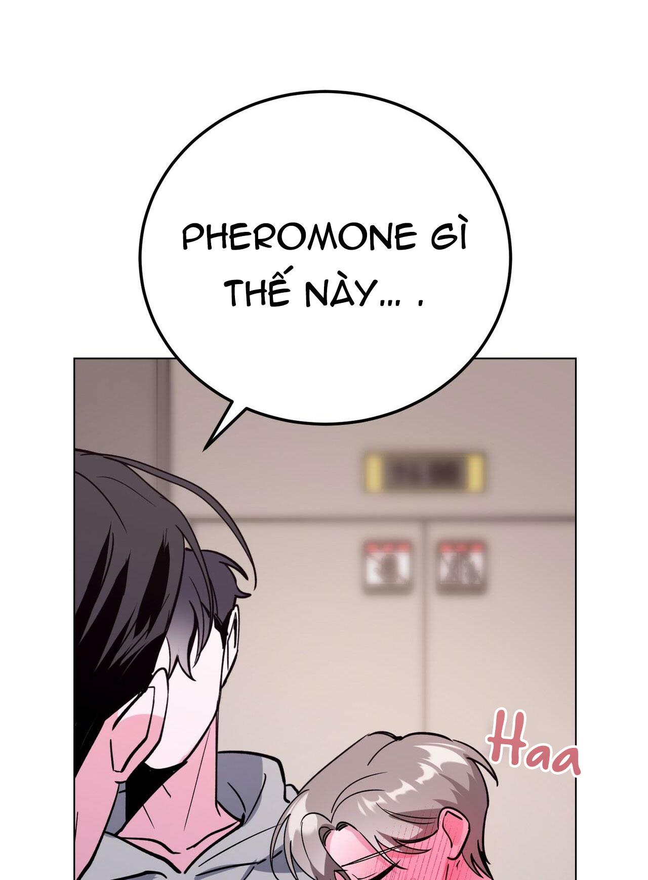 cạm bẫy đại học [m] chapter 27 11