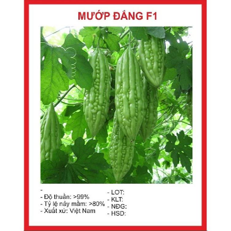 Hạt giống mướp đắng 10 hạt/gói