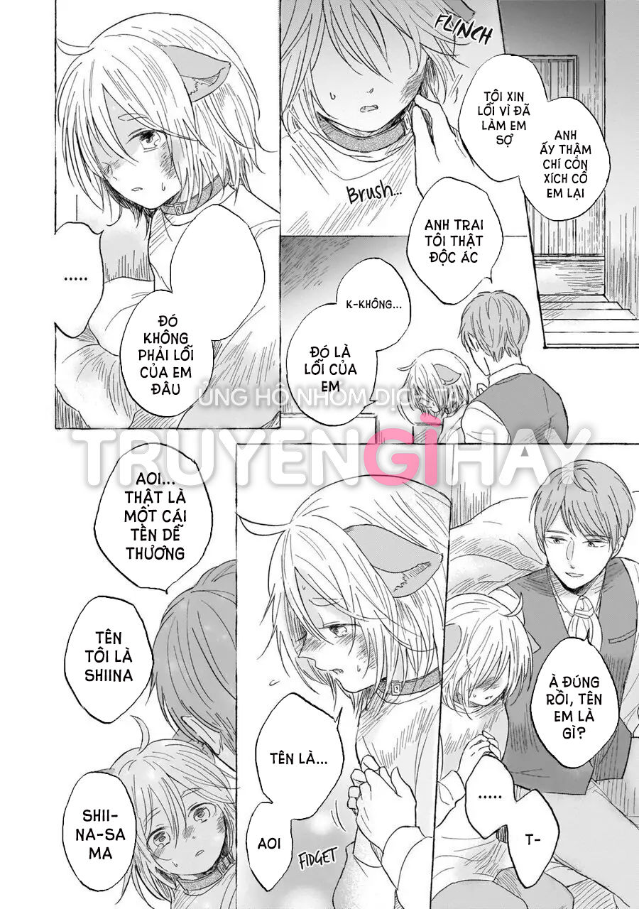 neko mimi omegaverse chapter 6.1 12