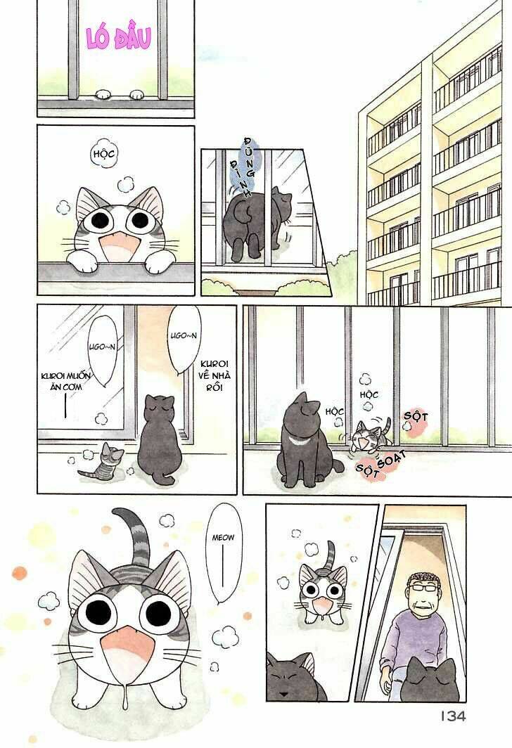 chi's sweet home chapter 91 4