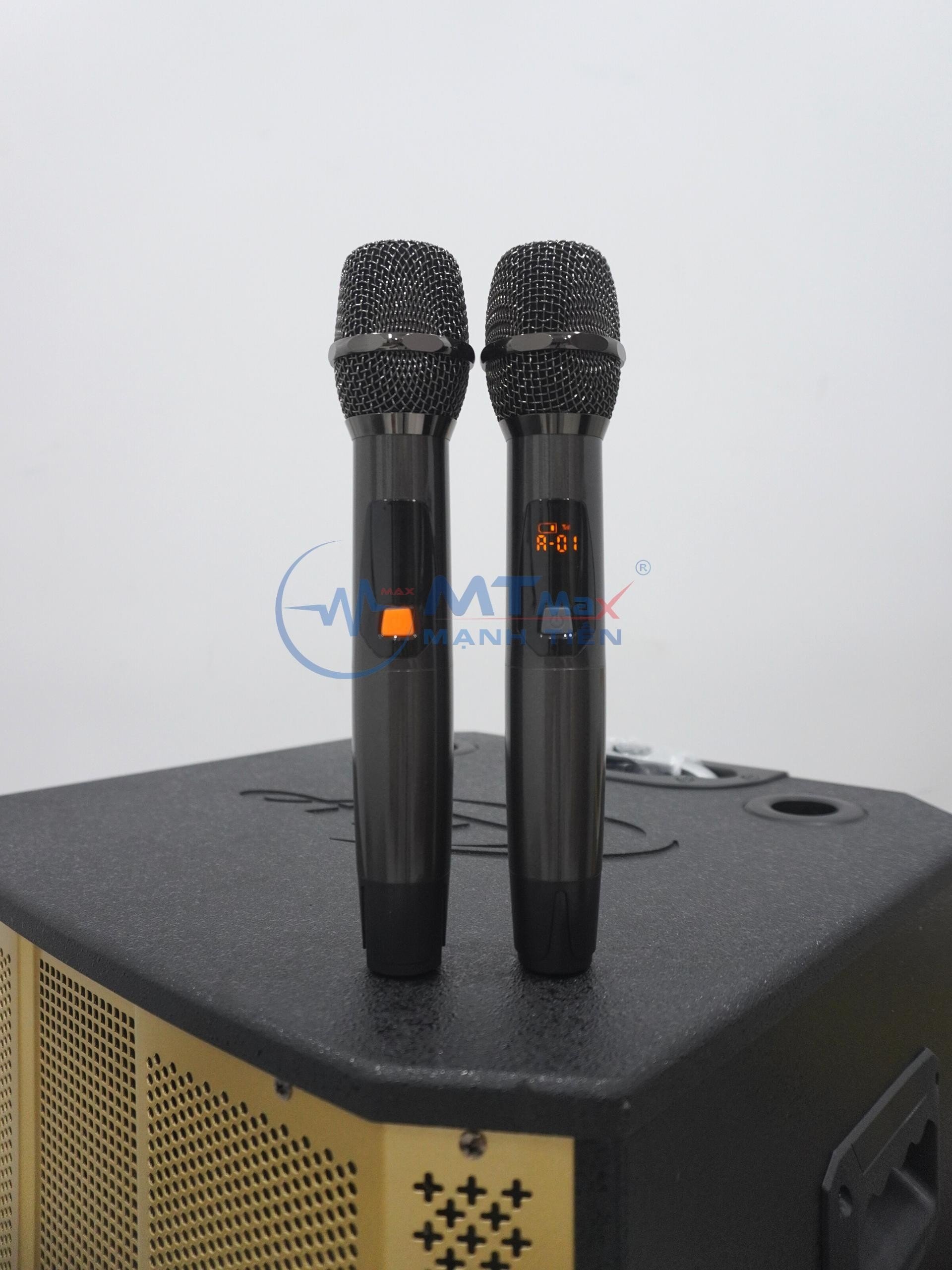 Loa Kéo AT T18 Bass 50cm - Công Suất Lớn kèm 2 Micro Không Dây- Tổng công suất lên tới 700w- nghe nhạc hát karaoke thật hay