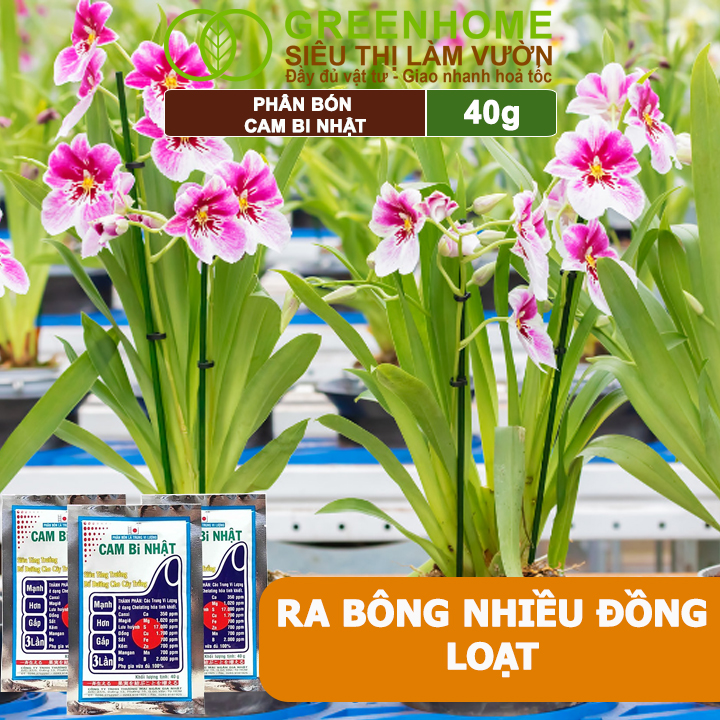 Phân Bón Lá Trung Vi Lượng CamBi Nhật, GreenHome,Gói 40Gr, Siêu Tăng Trưởng Cho Cây Trồng