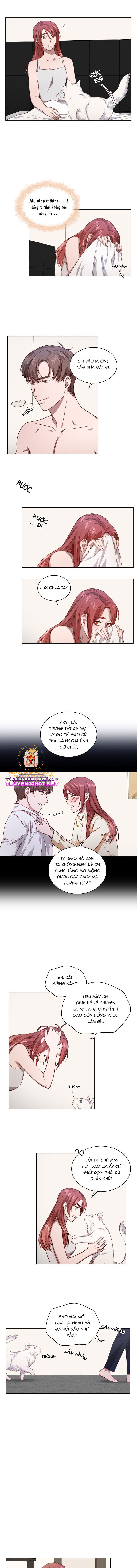 vướng vào mối quan hệ ngoài ý muốn chapter 9 5