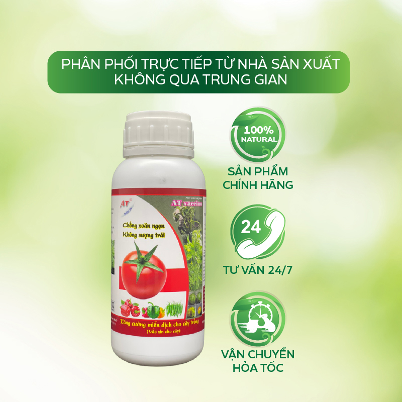 Chế Phẩm Vaccino Can AT 500ml Chống Xoăn Ngọn, Sượng Trái Thối Cổ Rễ Thán Thư Sương Mai Phòng Trừ Đốm Lá