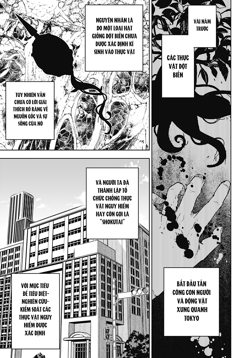 hạt giống phù thuỷ chapter 1 19