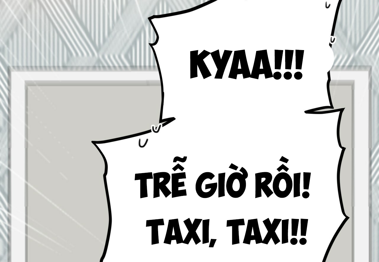 những chú thỏ của hapypy chapter 1 74