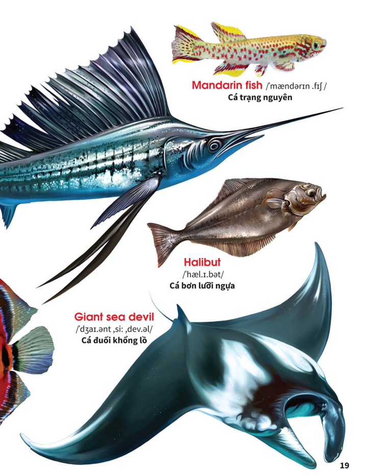 Sách - My First Book Of Animals - Động vật dưới nước (VT)