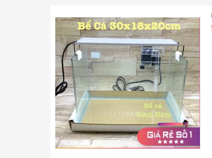 Bể Cá Chữ Nhật 30cm Kính Đúc Bo Góc Đẹp - Bể Cá Mini 30*17*20cm