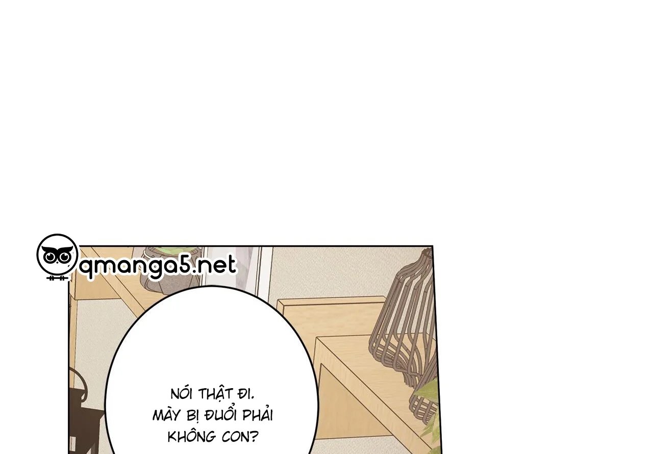 home five chapter 44 151