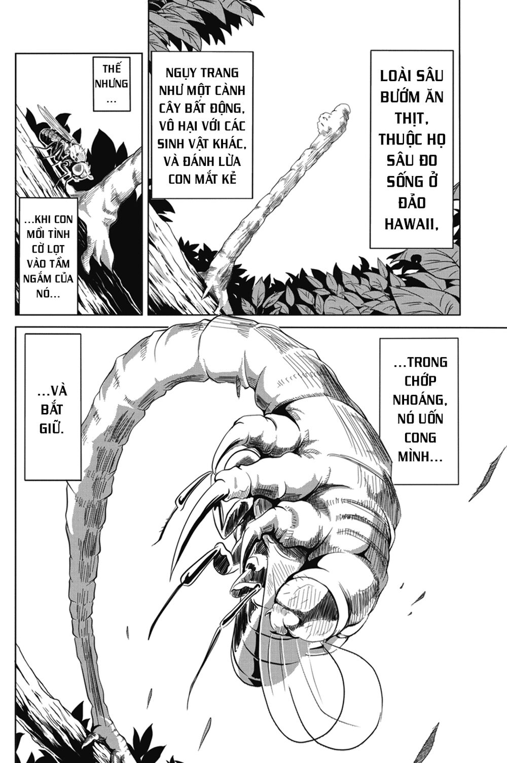 caterpillar chapter 1 30