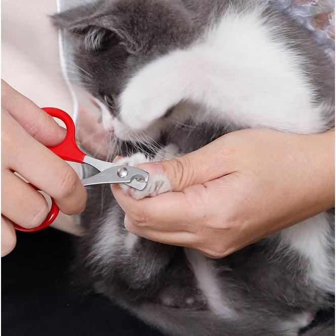 Kìm cắt móng cho thú cưng size nhỏ
