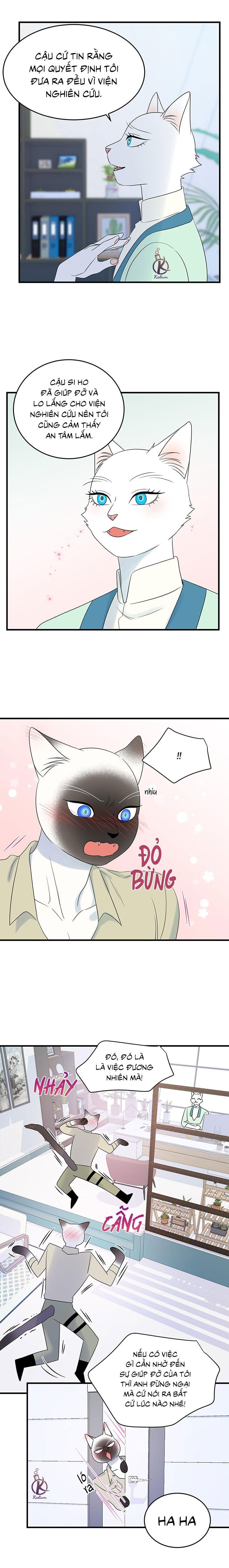 dự án xanh chapter 35 10