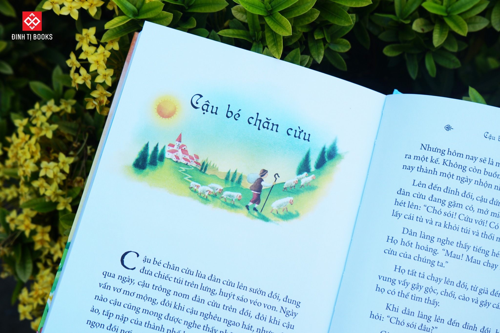 Truyện ngụ ngôn Aesop - Illustrated Classics - Đinh Tị Books