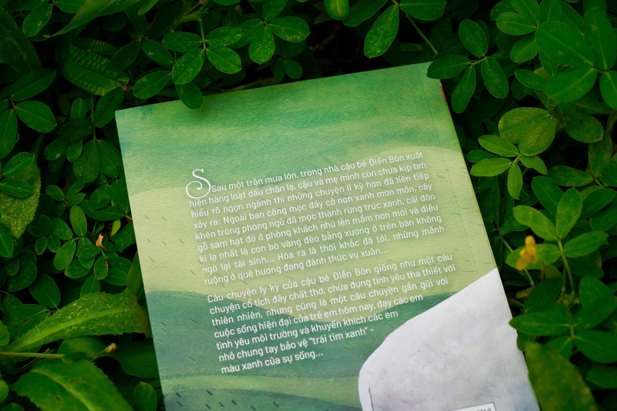 Sách Chạy Theo Trái Tim Xanh