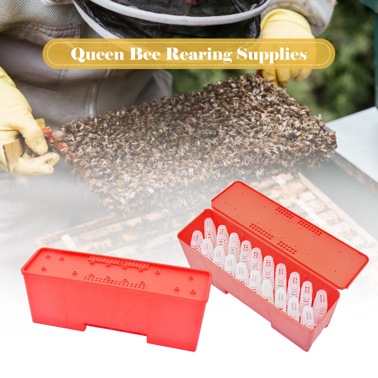 Bee Queen Transport Box Bee Queen Cage Holder Queen Bee Rearing System for Beekeeper Supplies Hive Tool Kit