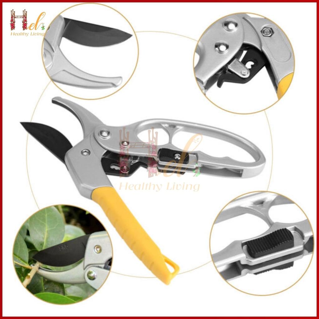 Kéo Cắt Tỉa Cành Cây, Kìm Tỉa Cây Cao Cấp HSS, Kéo Cộng Lực Cắt Cành SK-8 Nhập Khẩu, Kéo Cắt Tỉa Bonsai Cao Cấp