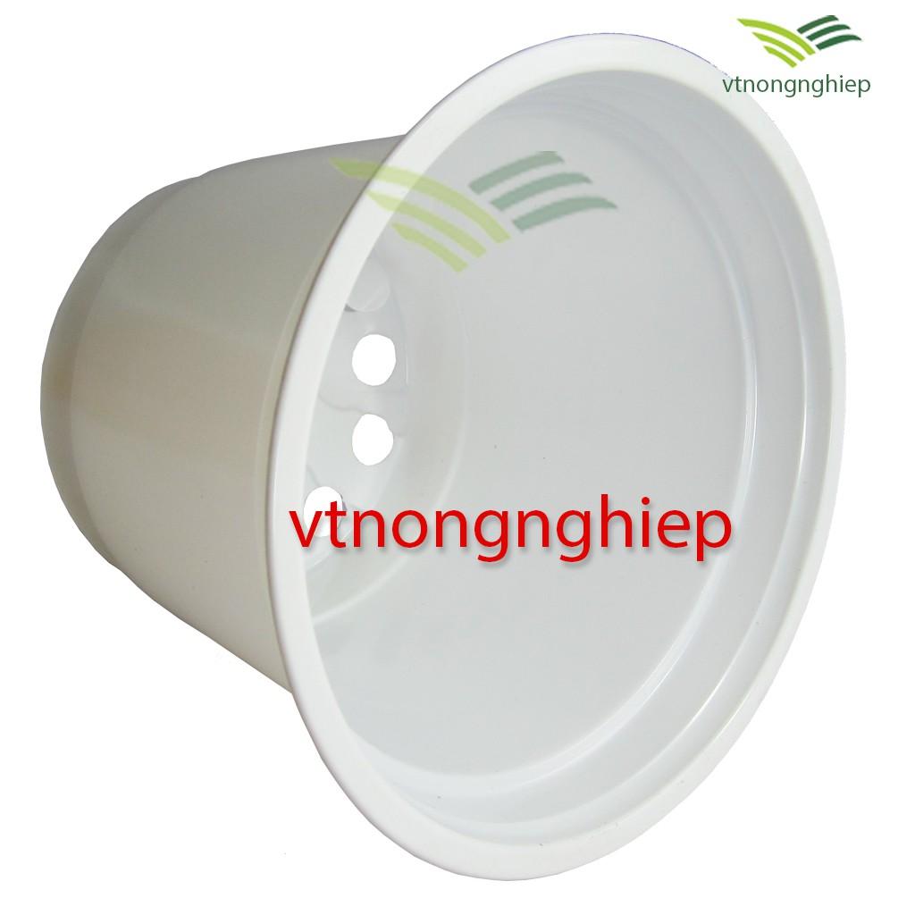 Chậu nhựa trồng Hoa CH-23x16 màu xám nâu, màu đỏ đất, màu trắng