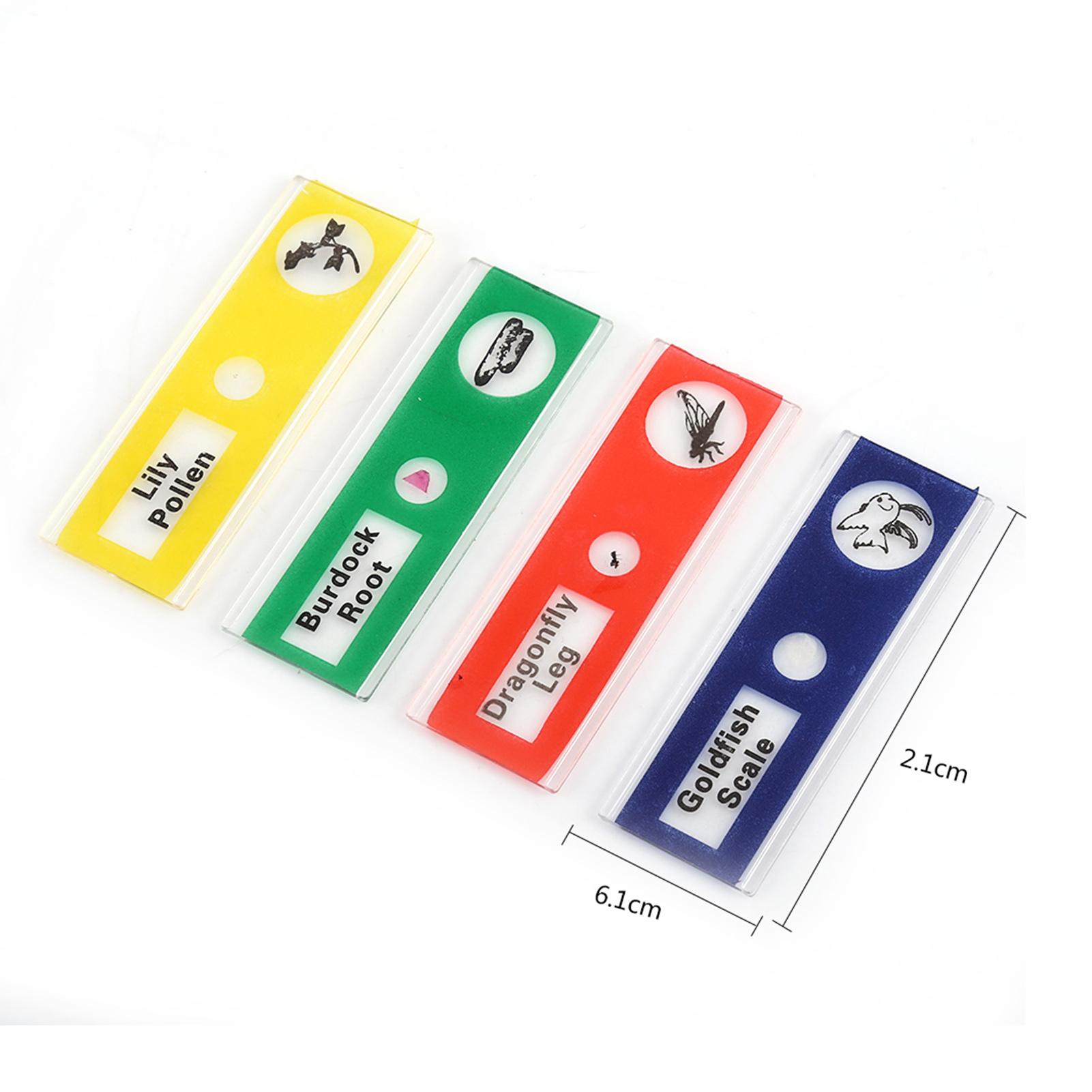 Set 48 tiêu bản mẫu thực vật và động vật cho kính hiển vi