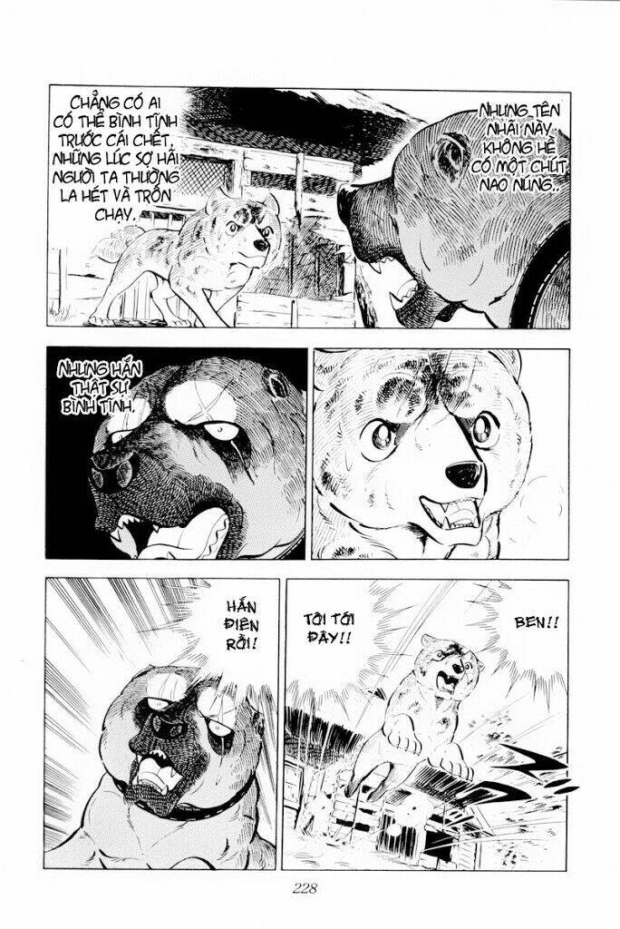 chú chó có nghĩa - ginga nagareboshi gin chapter 29.2 15