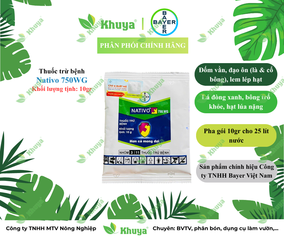 Thuốc trừ bệnh Bayer Nativo 750WG Thán Thư, Đốm Lá