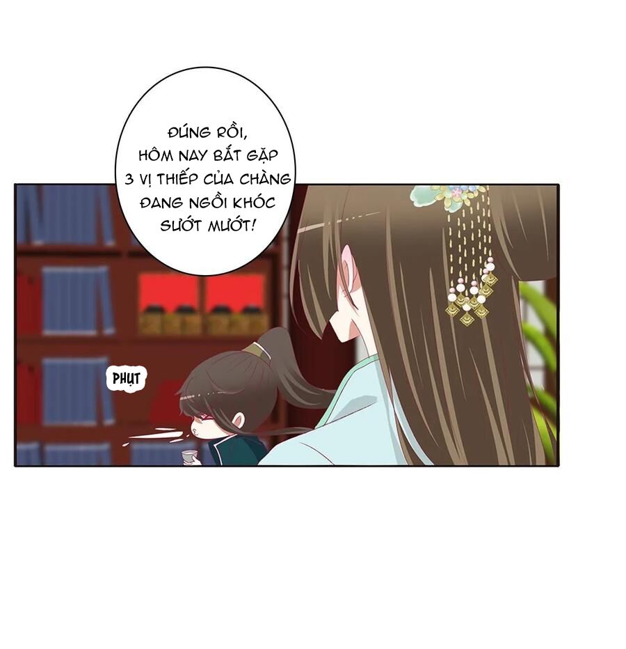 thông linh phi chapter 608 4
