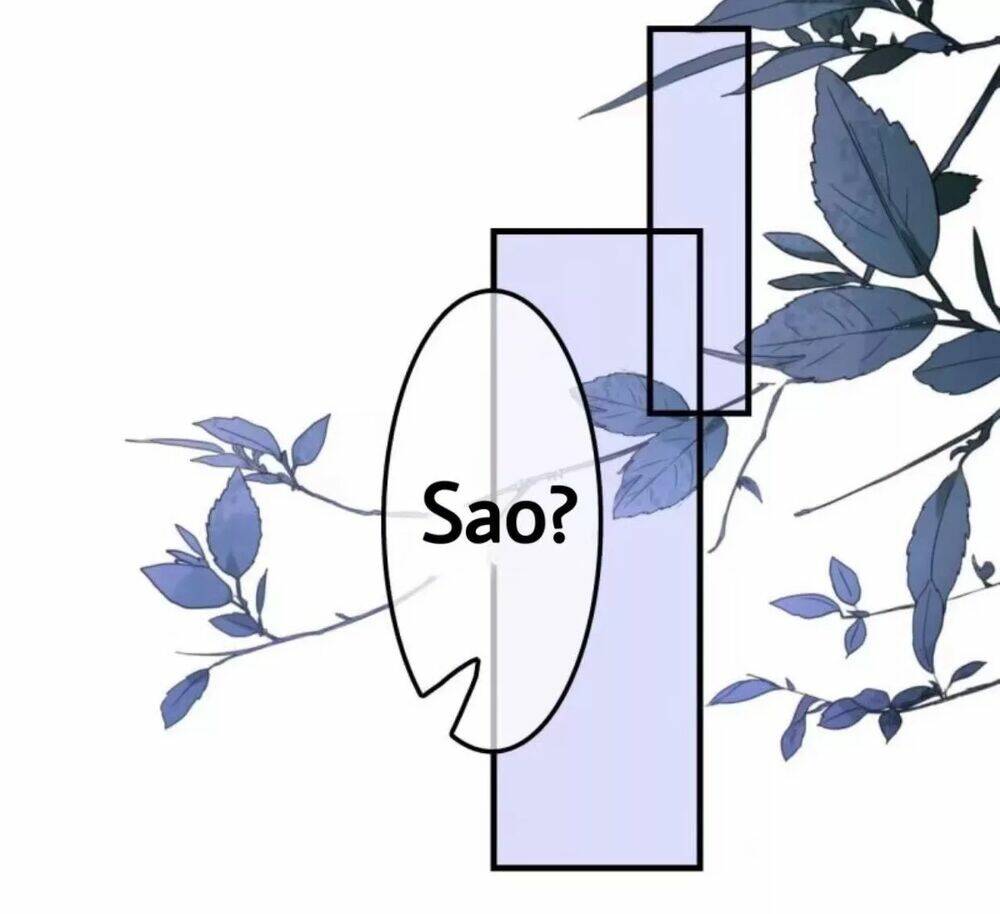 sủng phi của vương chapter 65 1