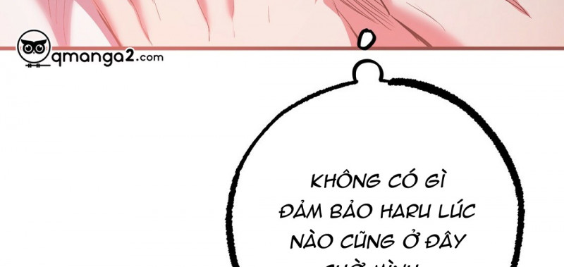 NHỮNG CHÚ THỎ CỦA HAPYPY chapter 23.5