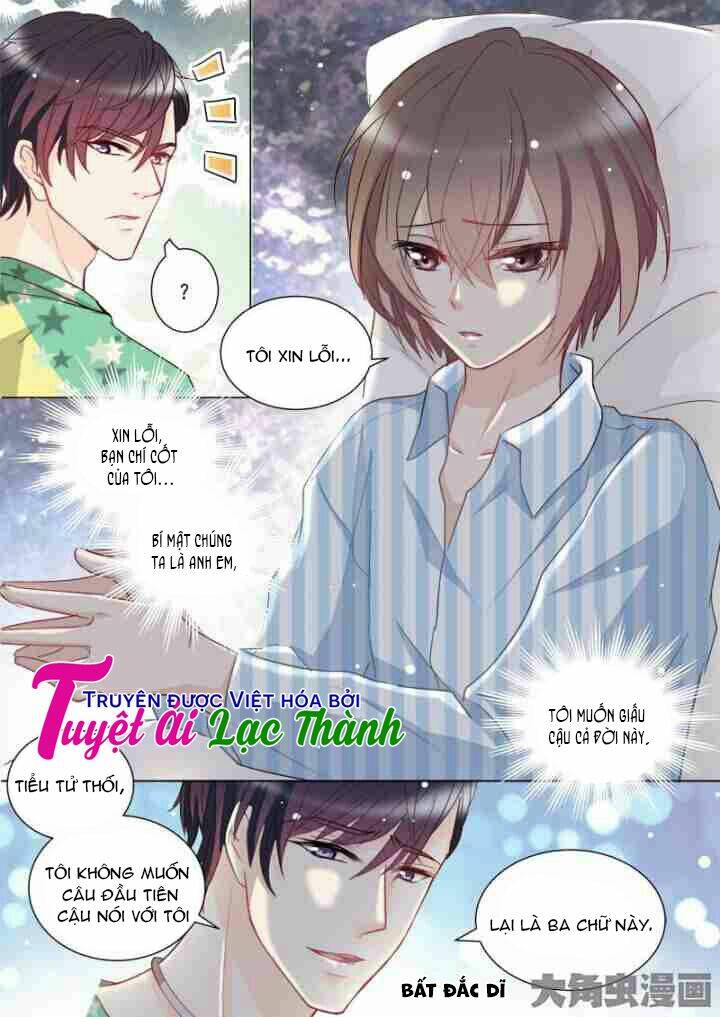 the stars are not luminous body chapter 61 7