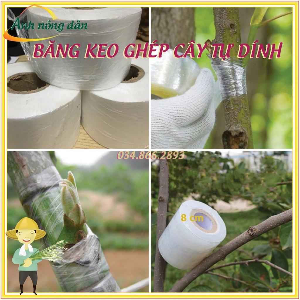 Băng dính ghép cây tự hủy - khổ 8 cm - dùng cho ghép cành, ghép tán, tạo dáng cây cảnh