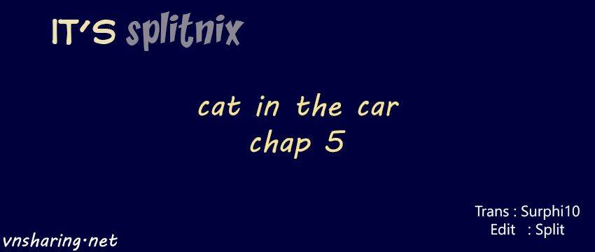 cat in the car chapter 5 1