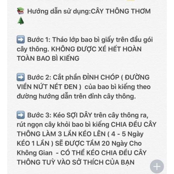 Lá thơm treo xe - lá thông thơm treo xe ô tô phòng ngủ