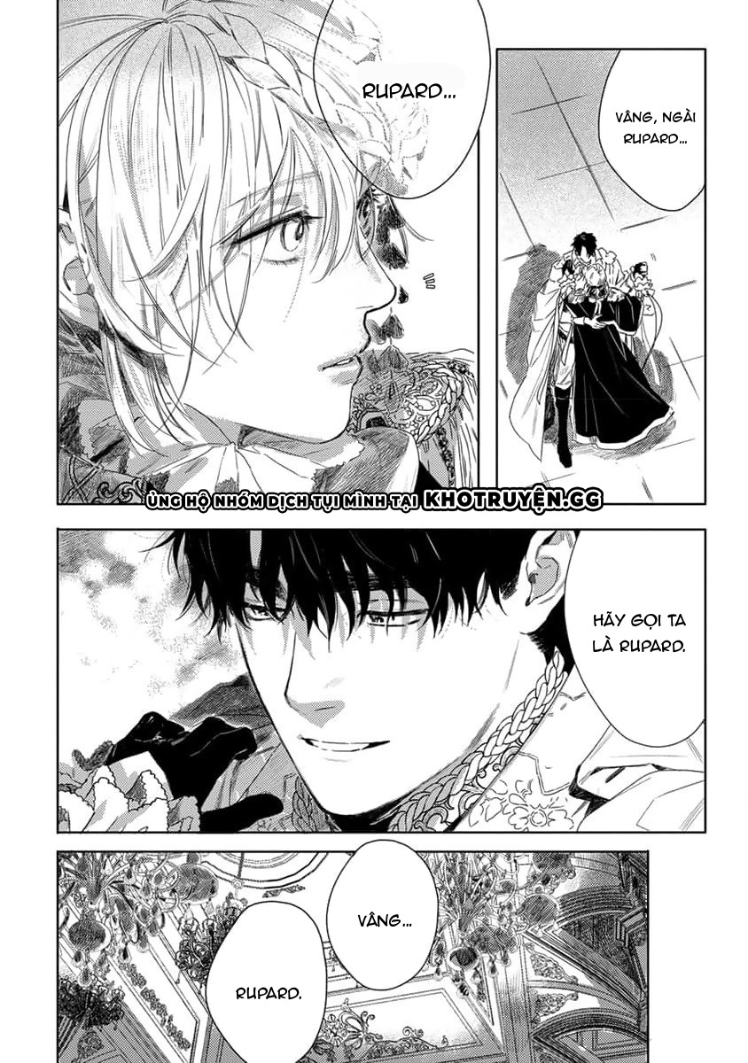 tình yêu hoa hồng dại chapter 5 22