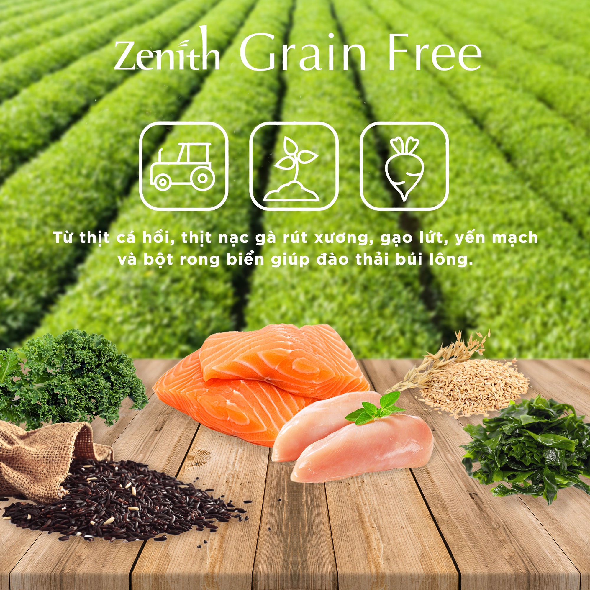 Thức ăn hạt mềm cho mèo Zenith | Không ngũ cốc | Triệt tiêu búi lông | Từ & cá hồi | Cho mèo mọi lứa tuổi
