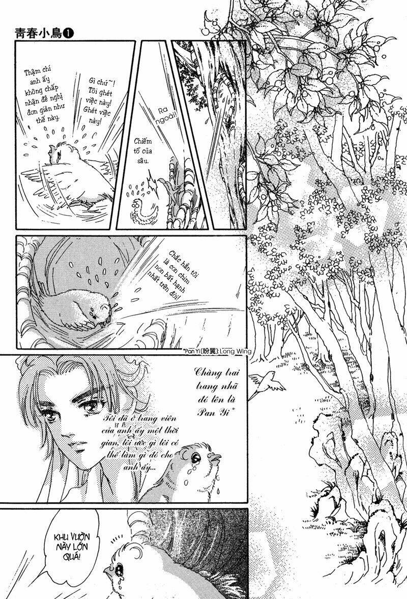 bird of youth chapter 1 12