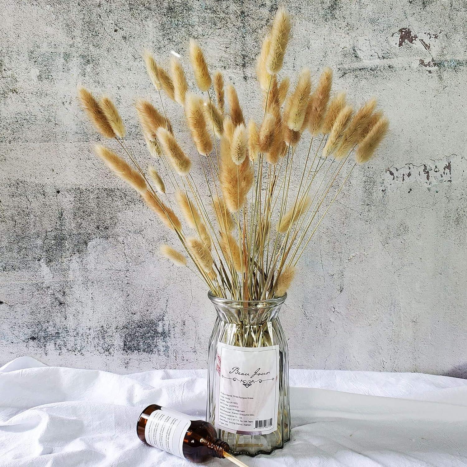 100 cái Hoa Lagurian hình bầu dục khô tự nhiên cho trang trí nhà đám cưới