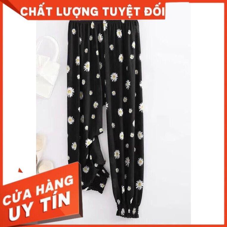 Quần Đũi Họa Tiết Dài Cạp Cao Bo Gấu, Quần đũi siêu mát