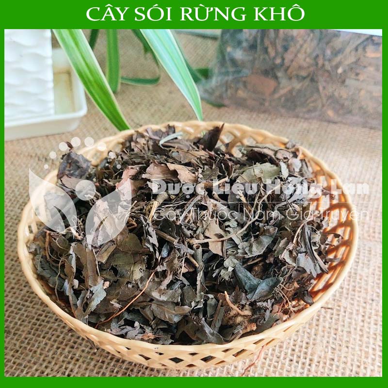 Cây Sói Rừng khô 1kg