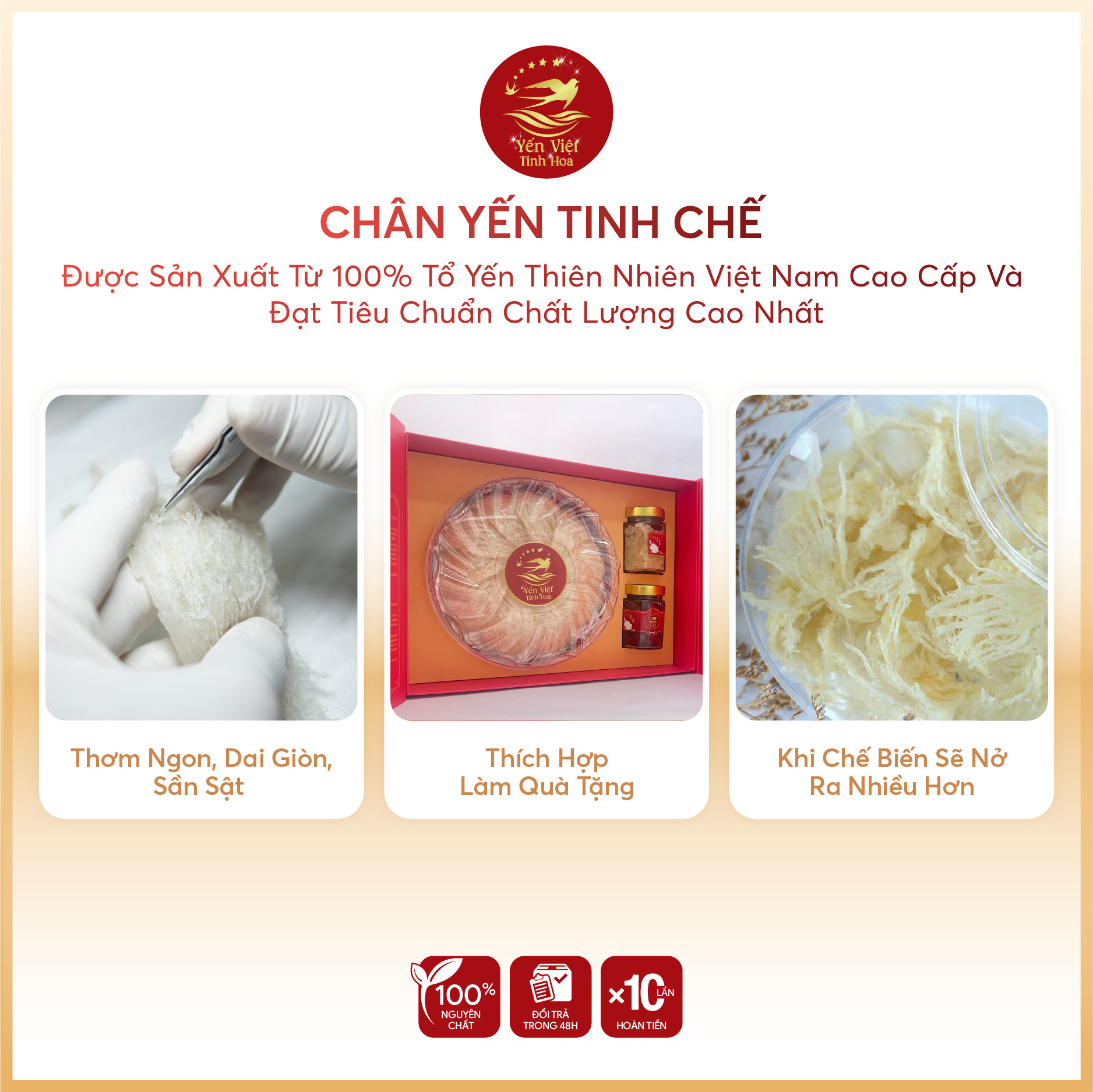 Chân yến Tinh chế thượng hạng 100 gram Yến Việt Tinh Hoa  - Hàng chính hãng