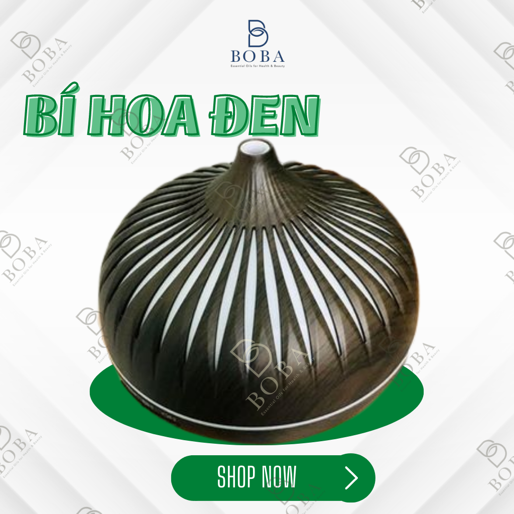 XẢ KHO Máy Khuếch Tán Tinh Dầu Bí Cánh Hoa, Bí Kẻ Xông Hương Thơm, Giảm Căng Thẳng, Thơm Phòng - BOBA NATURALS
